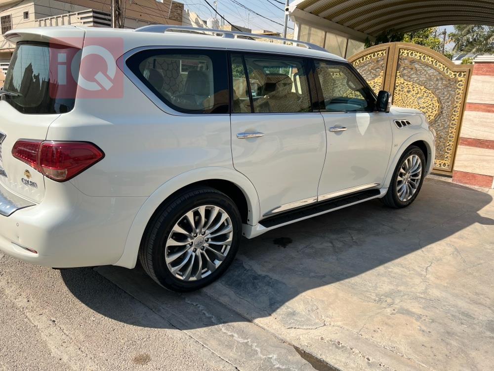 ئينفنتي QX80